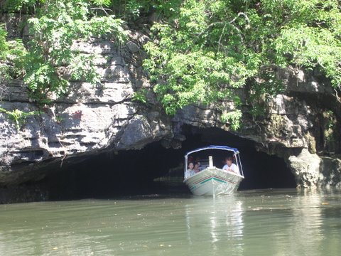 Langkawi Mangrove Boat Tour